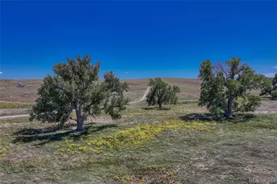 Fiddleback Ranch Road, Kiowa, CO 80117 - Photo 28
