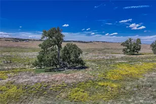 Fiddleback Ranch Rd, Kiowa, CO 80117 - Photo 24