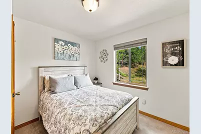 611 Impala Trail, Bailey, CO 80421 - Photo 12