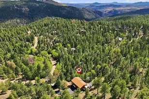 611 Impala Trail, Bailey, CO 80421 - Photo 48