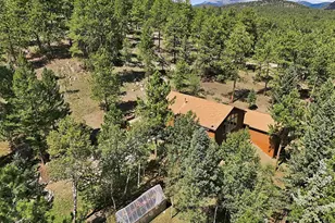 611 Impala Trail, Bailey, CO 80421 - Photo 50