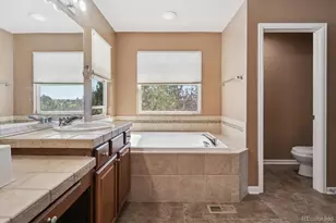 12218 Rockdale St, Parker, CO 80138 - Photo 28