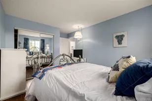 395 Mountain Cloud Cir, Highlands Ranch, CO 80126 - Photo 20