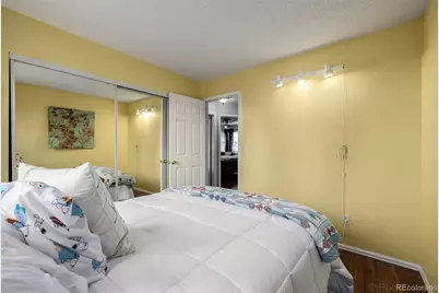 395 Mountain Cloud Circle, Highlands Ranch, CO 80126 - Photo 24