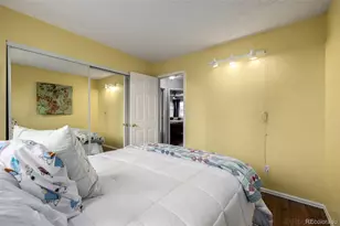 395 Mountain Cloud Cir, Highlands Ranch, CO 80126 - Photo 24