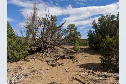 623 Cello Azui Drive, Walsenburg, CO 81089 - Photo 2