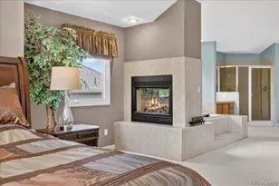 10852 Bobcat Terrace, Lone Tree, CO 80124 - Photo 26