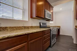 9520 Halstead, Lone Tree, CO 80124 - Photo 10