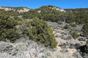 Lot 2131 Trujillo Rd, Fort Garland, CO 81133 - Photo 1