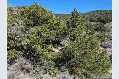 Lot 2131 Trujillo Road, Fort Garland, CO 81133 - Photo 6