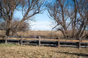 12380 Irma Dr, Thornton, CO 80241 - Photo 16