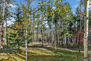 20341 Maxwell Dr, Morrison, CO 80465 - Photo 30