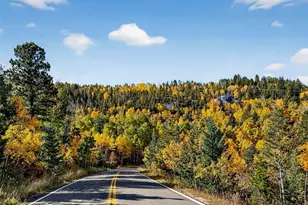 20341 Maxwell Dr, Morrison, CO 80465 - Photo 44