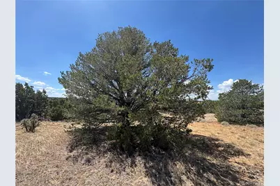 Lot F Twin Lakes Ranches, Walsenburg, CO 81089 - Photo 12