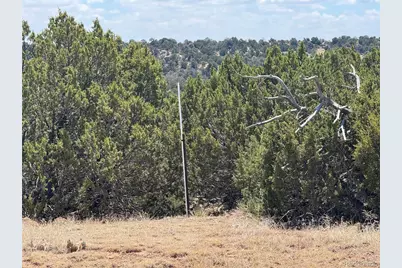 Lot F Twin Lakes Ranches, Walsenburg, CO 81089 - Photo 16