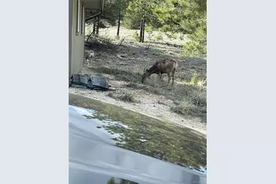 776 Fowler Road, Westcliffe, CO 81252 - Photo 16