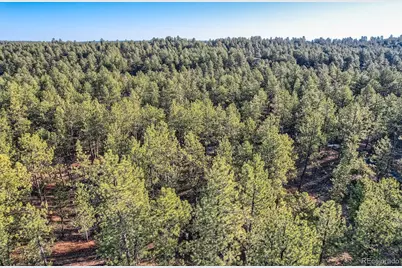 856 Woodridge Road, Franktown, CO 80116 - Photo 22