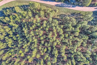 856 Woodridge Road, Franktown, CO 80116 - Photo 26