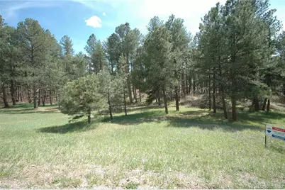 856 Woodridge Road, Franktown, CO 80116 - Photo 6