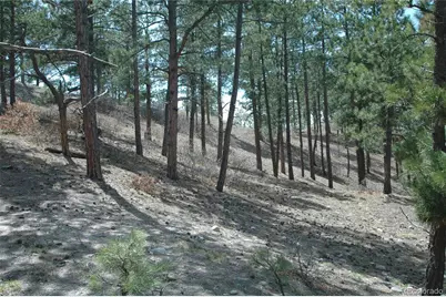 856 Woodridge Road, Franktown, CO 80116 - Photo 16