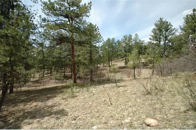 856 Woodridge Road, Franktown, CO 80116 - Photo 14