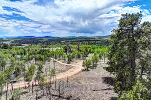 53 Fawn Ct, Como, CO 80432 - Photo 46