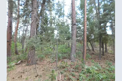 8169 Bannock Drive, Larkspur, CO 80118 - Photo 18
