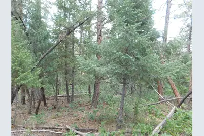 8169 Bannock Drive, Larkspur, CO 80118 - Photo 20