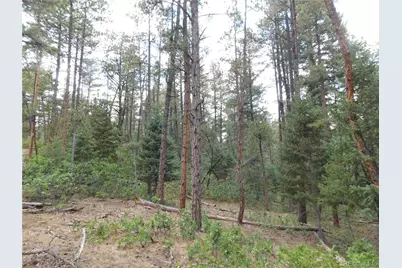 8169 Bannock Drive, Larkspur, CO 80118 - Photo 24