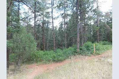 8169 Bannock Drive, Larkspur, CO 80118 - Photo 6