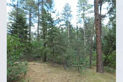 8169 Bannock Drive, Larkspur, CO 80118 - Photo 34
