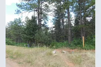 8169 Bannock Drive, Larkspur, CO 80118 - Photo 8