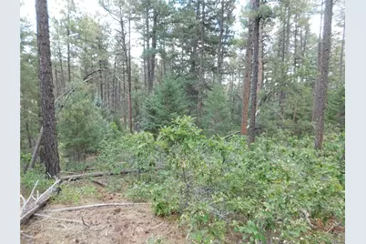 8169 Bannock Drive, Larkspur, CO 80118 - Photo 28