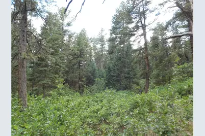 8169 Bannock Drive, Larkspur, CO 80118 - Photo 14