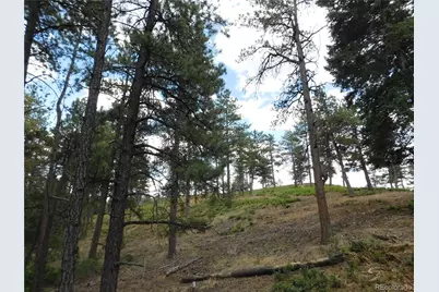 8169 Bannock Drive, Larkspur, CO 80118 - Photo 26
