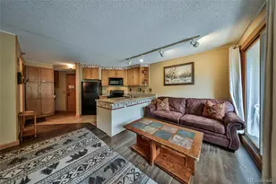 313 Iron Horse Way, Winter Park, CO 80482 - Photo 4