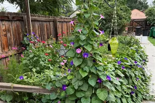 1258 Valentia St, Denver, CO 80220 - Photo 28