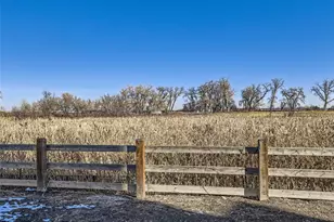 12355 Farmview Ln, Thornton, CO 80241 - Photo 4