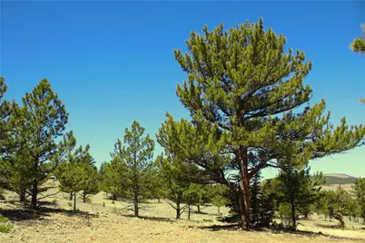 12451 Us-24, Hartsel, CO 80449 - Photo 14