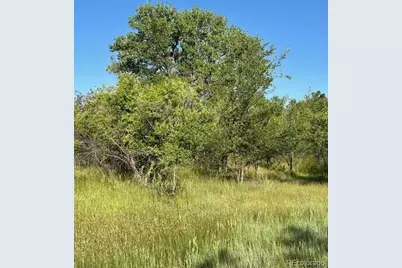 8523 Hygiene Road, Longmont, CO 80503 - Photo 12