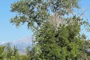 8523 Hygiene Rd, Longmont, CO 80503 - Photo 1