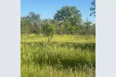 8523 Hygiene Road, Longmont, CO 80503 - Photo 8