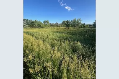 8523 Hygiene Road, Longmont, CO 80503 - Photo 2