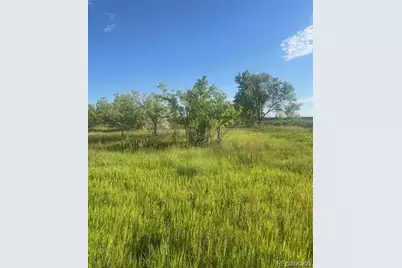 8523 Hygiene Road, Longmont, CO 80503 - Photo 10