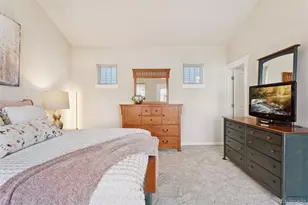 2882 Alton St, Denver, CO 80238 - Photo 16