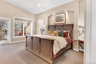 388 Titan Pl, Castle Rock, CO 80108 - Photo 22