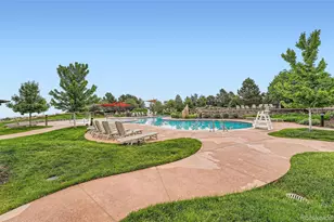 10414 Maplebrook Wy, Highlands Ranch, CO 80126 - Photo 40