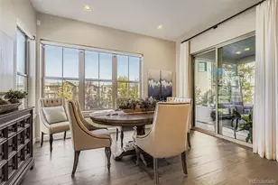 10414 Maplebrook Wy, Highlands Ranch, CO 80126 - Photo 6