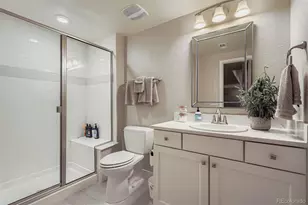 10414 Maplebrook Wy, Highlands Ranch, CO 80126 - Photo 30