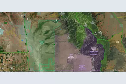 993 Pinon Road, Crestone, CO 81131 - Photo 8